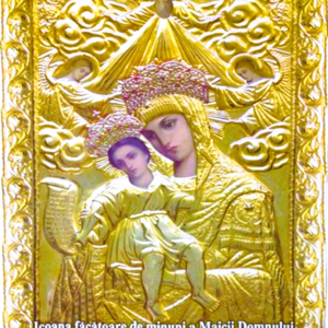 Icoana de la hadambu 20x24
